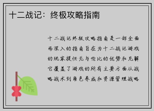 十二战记：终极攻略指南